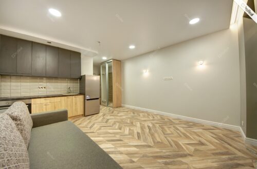 1 kambario buto nuoma Vilnius, Naujininkai, Eišiškių pl.