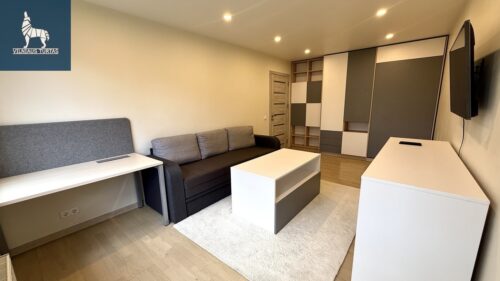 2 kambarių buto nuoma Šnipiškės, Rinktinės g.